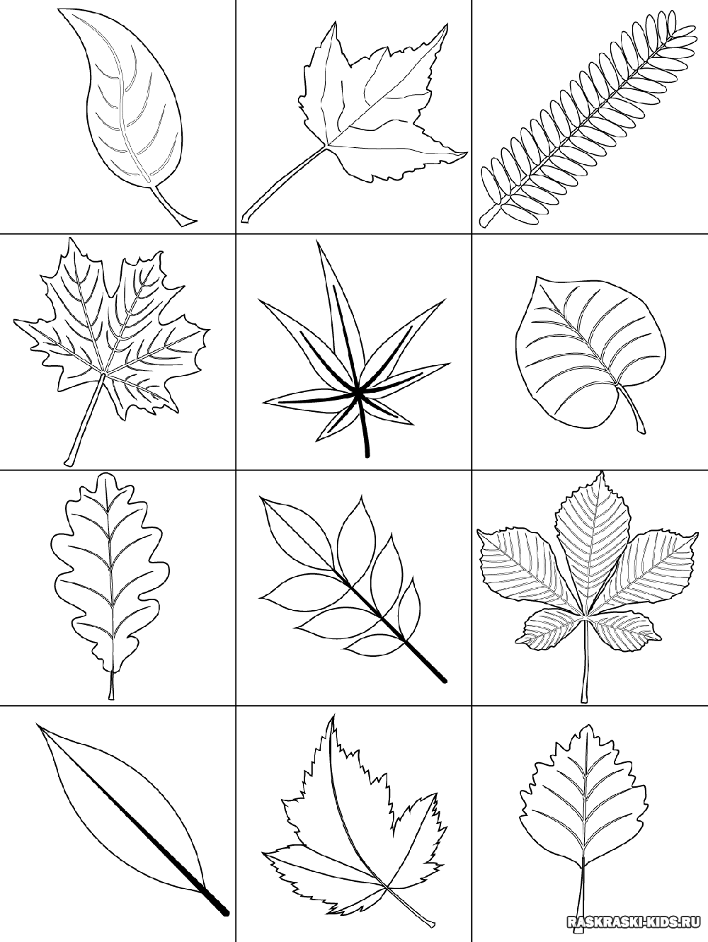 Листики раскраска для детей