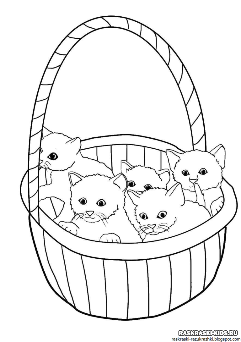Раскраска кошки для детей 4 5 лет. Раскраска. Котики. Котенок. Раскраска. Раскраска для девочек котики. Раскраска котята в корзинке.