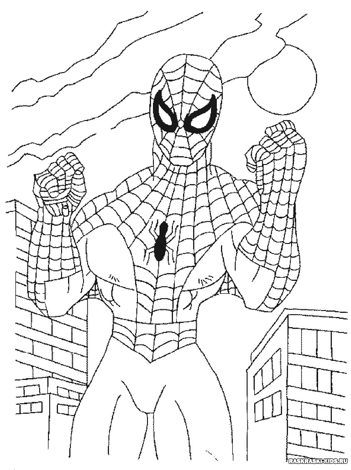 Герои человека паука раскраска
