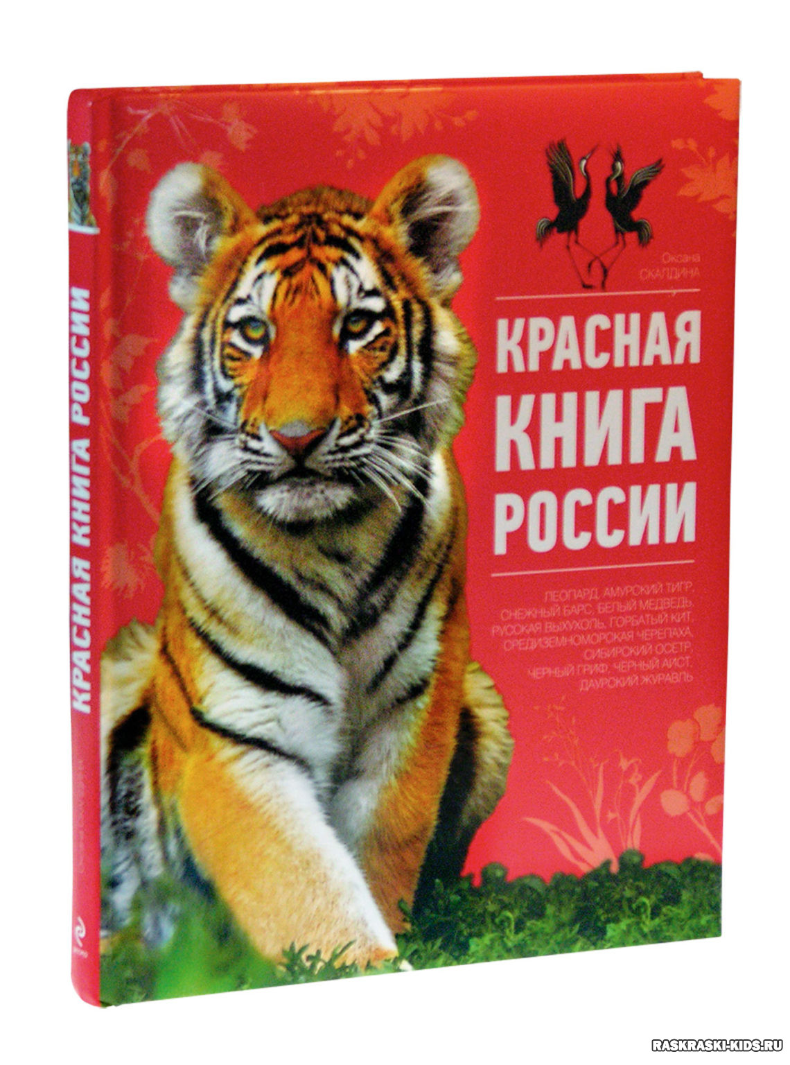 Красная книга животных картинки животных