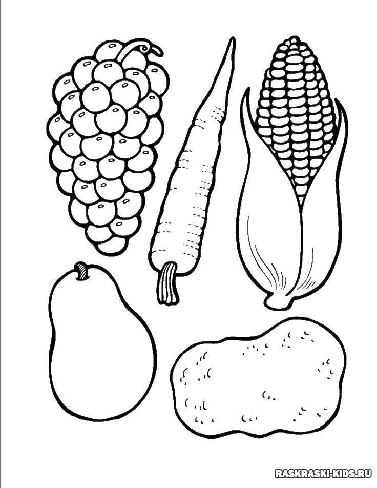Картинки раскраски овощи и фрукты для детей 5 6 лет