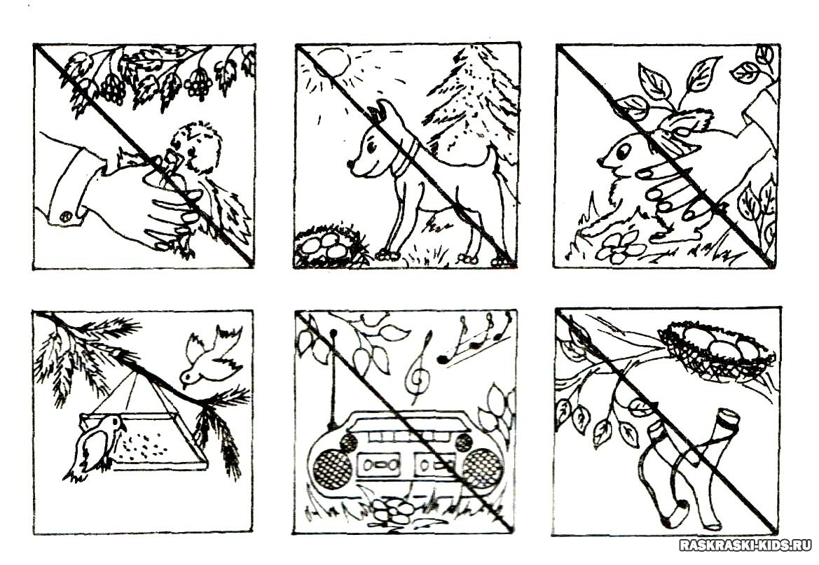 Правила поведения в лесу картинки для детей знаки раскраски