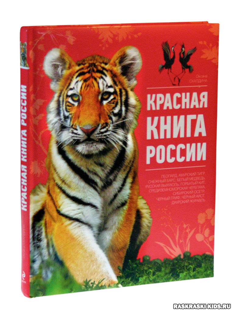 Красная книга рисунок для детей