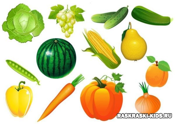 Раскраска Фрукты-овощи распечатать - Осень